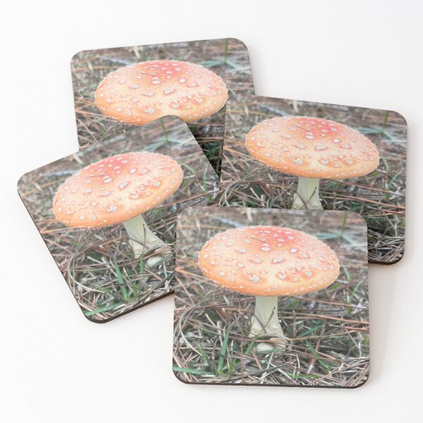 Item preview, Foto de hongo designed and sold by LizLightArt.
