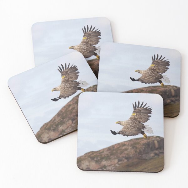 Item preview, Great White Tailed Eagle of Scotland designed and sold by Lsteuart.