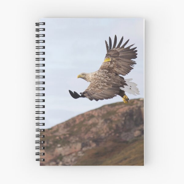 Item preview, Great White Tailed Eagle of Scotland designed and sold by Lsteuart.