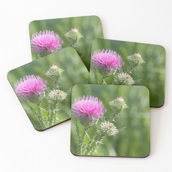 Artikelvorschau, Schottische Distel: die Nationalblume und das Wahrzeichen Schottlands entworfen und verkauft von Lsteuart.