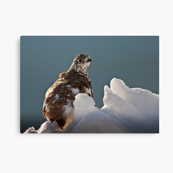 Item preview, Rock Ptarmigan designed and sold by Jay Ryser.