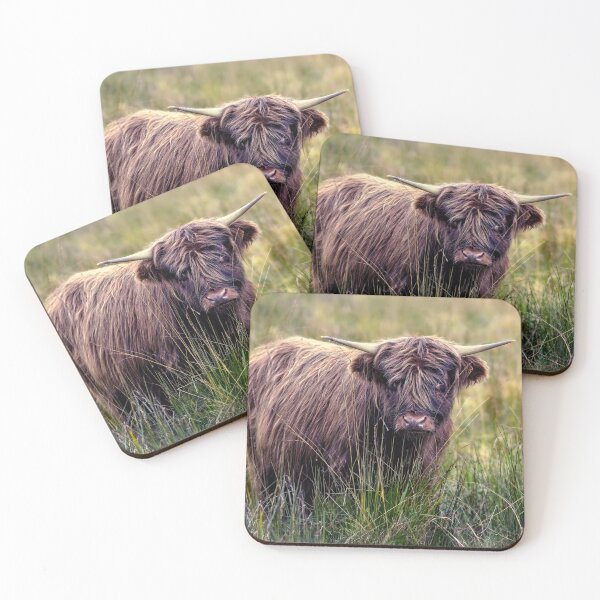 Item preview, Scottish Highland Cow designed and sold by Tom McPherson Photography.