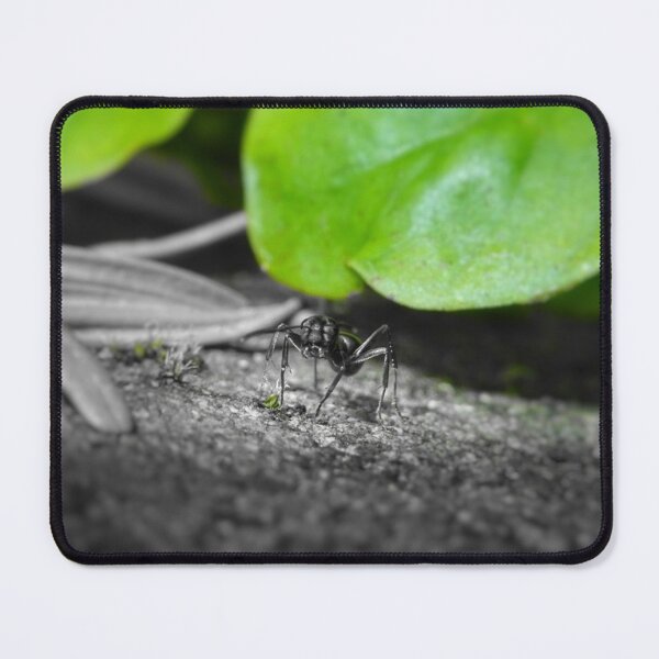 Item preview, ant designed and sold by fribo.
