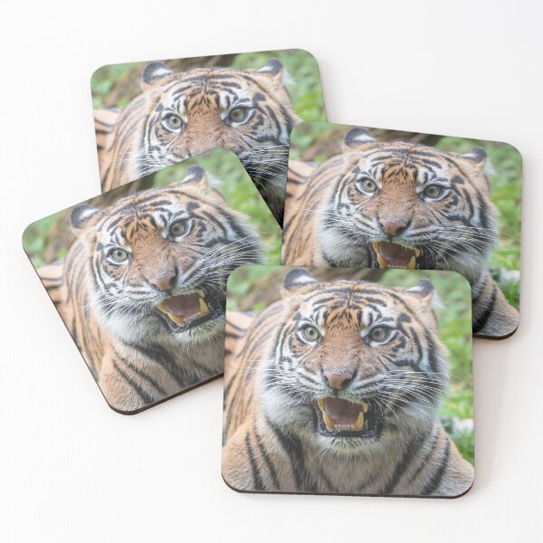 Item preview, Lunchtime designed and sold by N-JPhotography.
