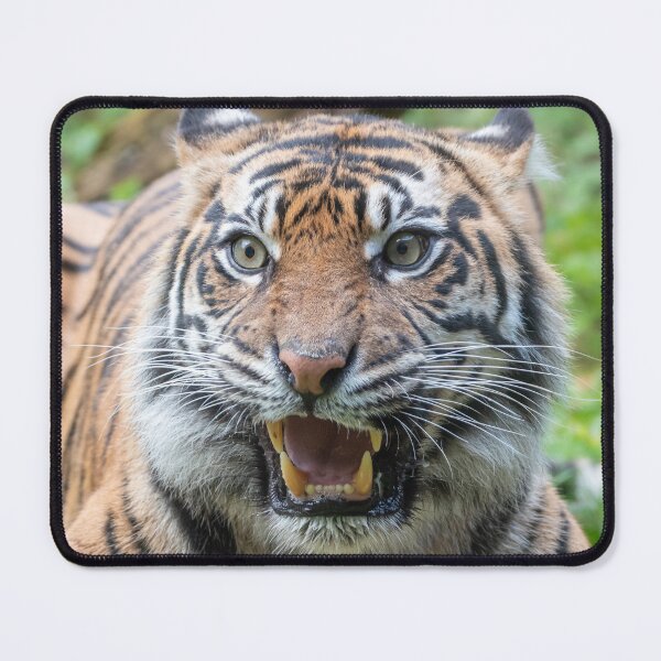 Item preview, Lunchtime designed and sold by N-JPhotography.
