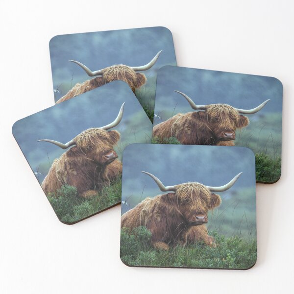 Item preview, Highland Cow designed and sold by Tom McPherson Photography.