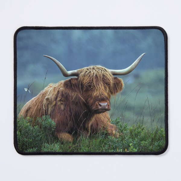 Item preview, Highland Cow designed and sold by Tom McPherson Photography.