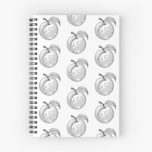 Item preview, Peach hand drawn illustration line art engraving isolated on white background designed and sold by AllaMashycheva.