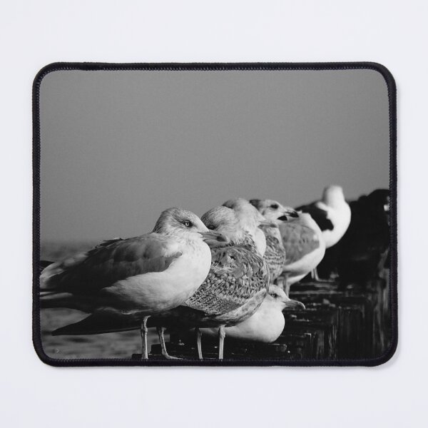 Item preview, gaviotas designed and sold by fribo.