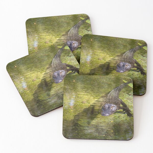 Item preview, Alligator Eyeing some Tourists, Orlando, Florida designed and sold by jrtwynam.