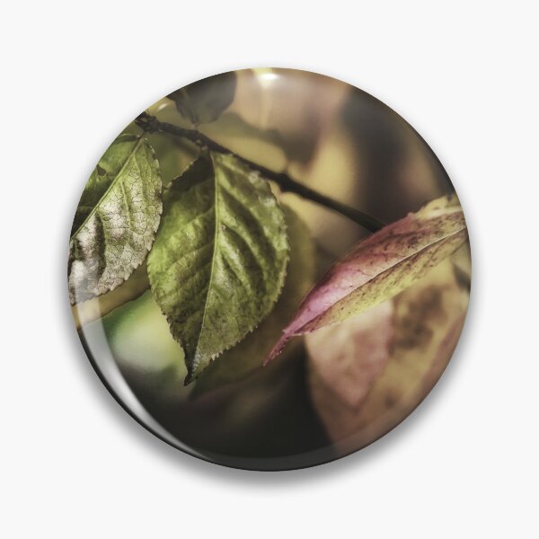Item preview, Leaves In Sunlight designed and sold by James DeFazio.