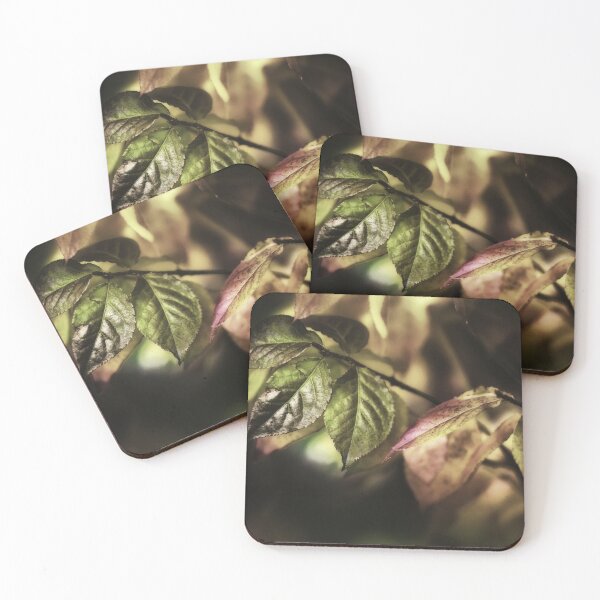 Item preview, Leaves In Sunlight designed and sold by James DeFazio.