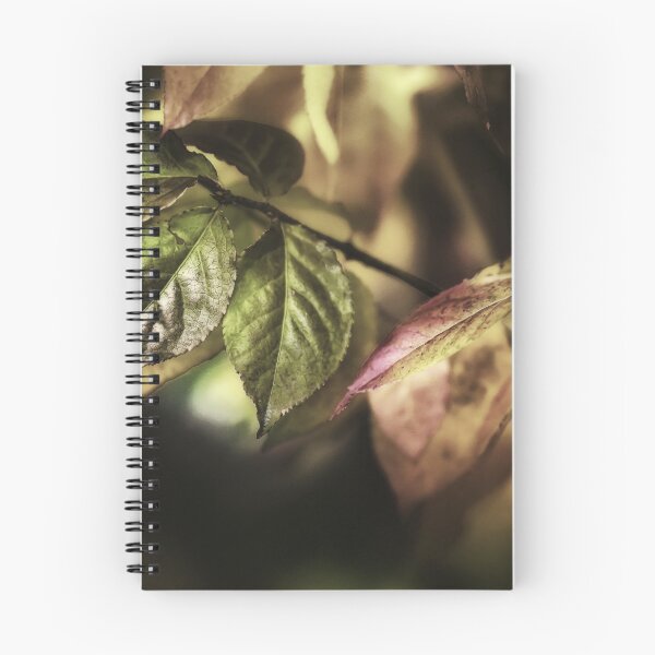 Item preview, Leaves In Sunlight designed and sold by James DeFazio.