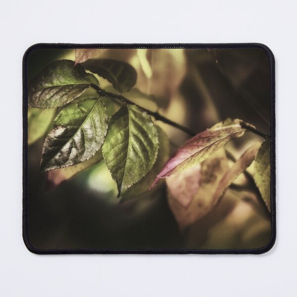 Item preview, Leaves In Sunlight designed and sold by James DeFazio.