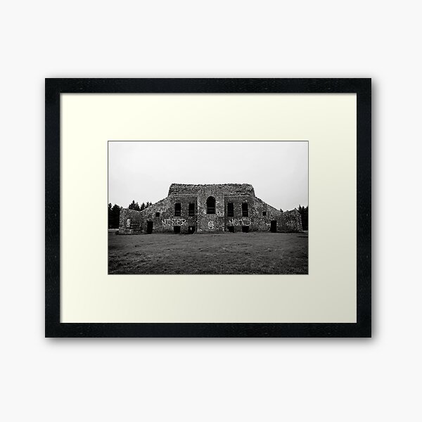 Framed Print