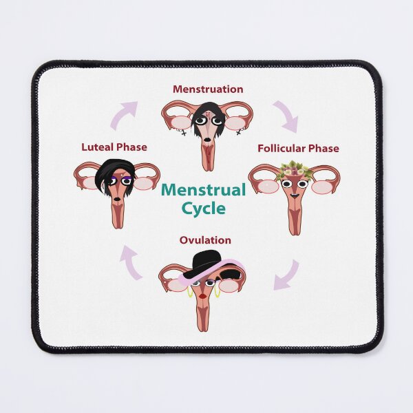 Item preview, Menstrual Cycle Explained designed and sold by EsjCreative.