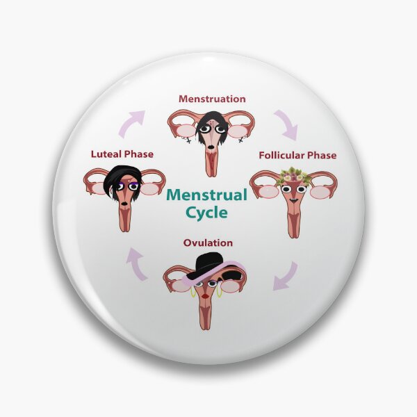 Item preview, Menstrual Cycle Explained designed and sold by EsjCreative.