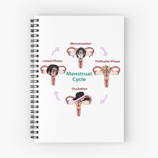 Item preview, Menstrual Cycle Explained designed and sold by EsjCreative.