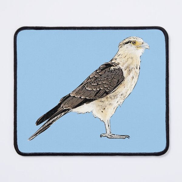 Item preview, Yellow-headed Caracara Perched Black Alternate Design designed and sold by designsasstultd.