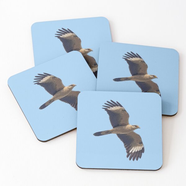 Item preview, Yellow-headed Caracara Flying Color Design  designed and sold by designsasstultd.