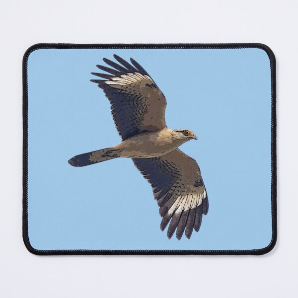 Item preview, Yellow-headed Caracara Flying Color Design designed and sold by designsasstultd.