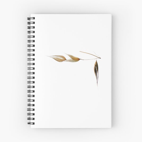 Item preview, empty grass seeds designed and sold by nadine henley.