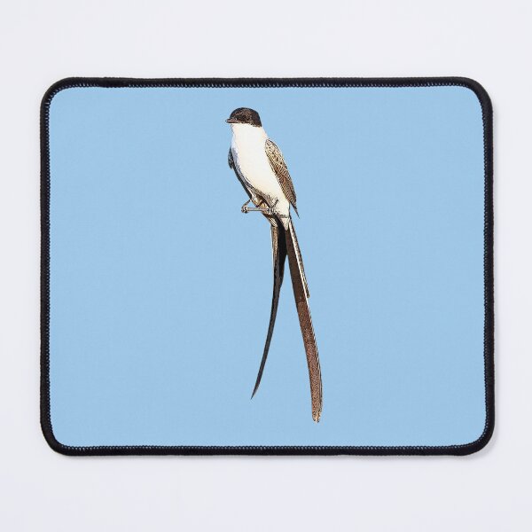 Item preview, Fork-tailed Flycatcher Perched Color Design designed and sold by designsasstultd.