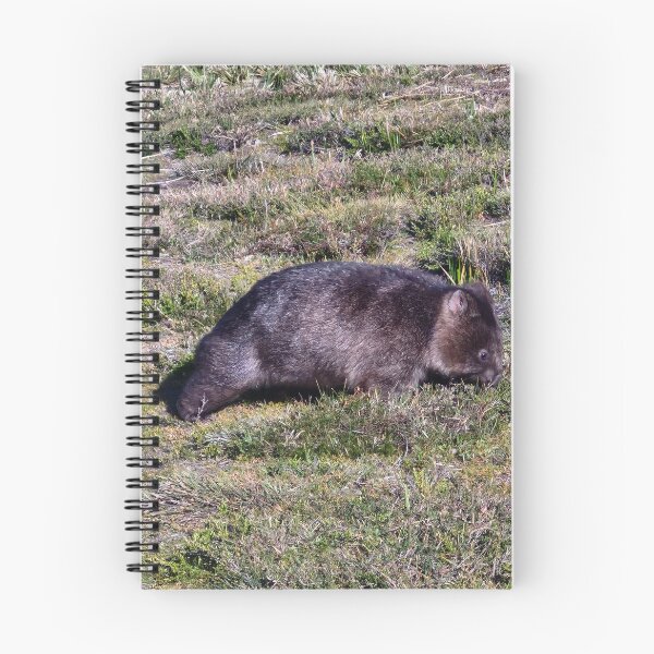 Item preview, Wombat within the Tasmania Tarkine designed and sold by Brendon987.