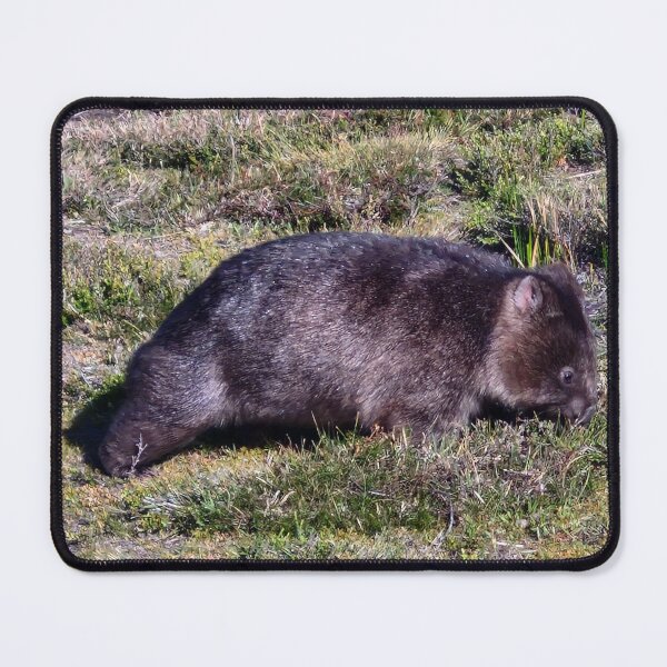 Item preview, Wombat within the Tasmania Tarkine designed and sold by Brendon987.