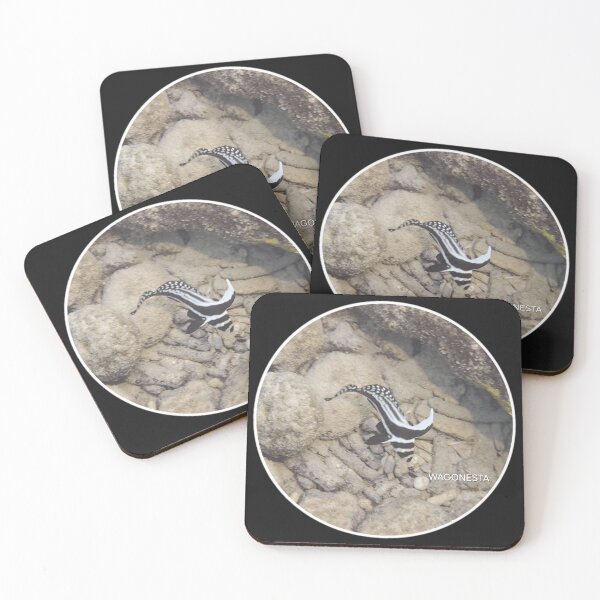 Item preview, Underwater Drum on the Dive in Bonaire by Wagonesta  designed and sold by Wagonesta.