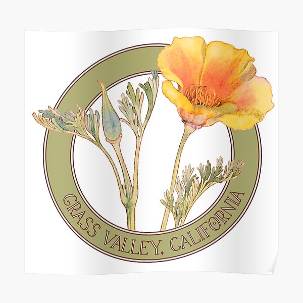 Grass Valley Poppy Poster