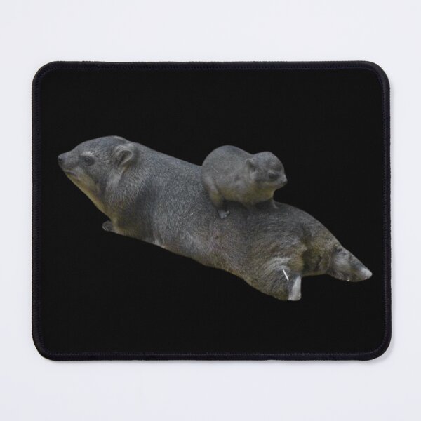 Item preview, Rock Hyrax Stack Photo - Dassie | Cute Vampire Potato designed and sold by matchamoonshop.