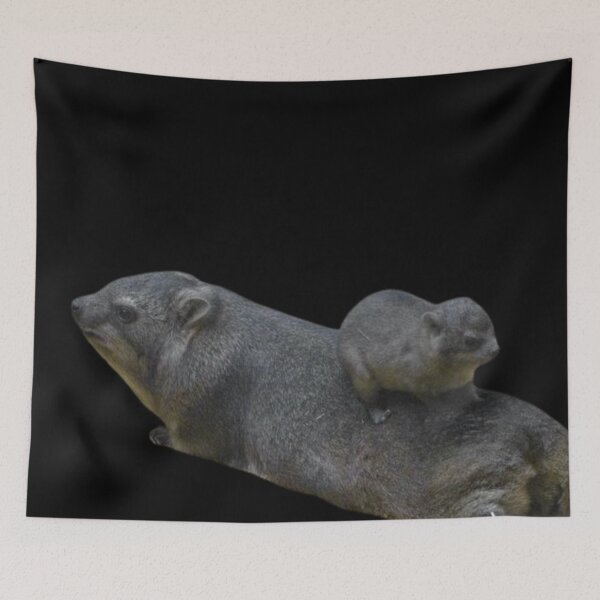 Item preview, Rock Hyrax Stack Photo - Dassie | Cute Vampire Potato designed and sold by matchamoonshop.