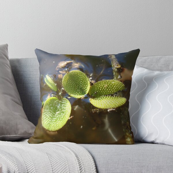 Item preview, Beautiful Illegal Alien designed and sold by May Lattanzio.