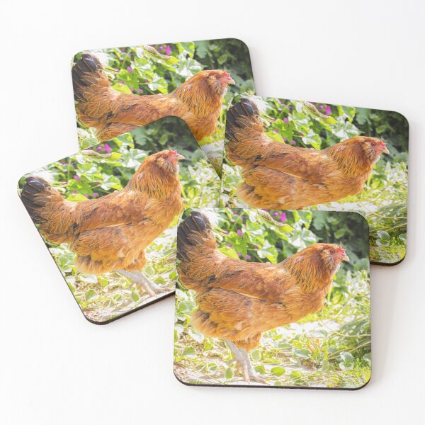 Item preview, Noodles the Chicken in the Garden designed and sold by taratops.