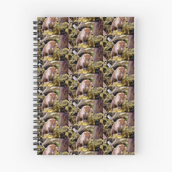 Item preview, Mister Coati  designed and sold by Lanis Rossi.