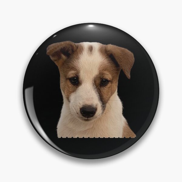 Item preview, Portrait of an Adorable Indian Pariah Puppy-For Puppy Lovers designed and sold by love3617.