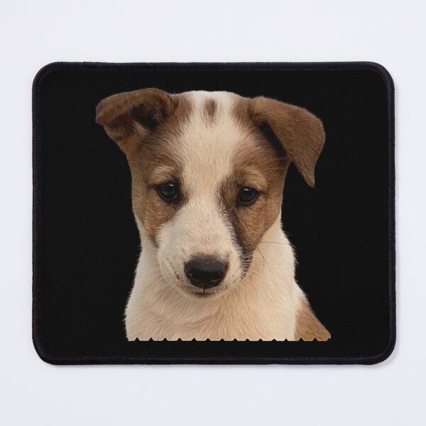 Item preview, Portrait of an Adorable Indian Pariah Puppy-For Puppy Lovers designed and sold by love3617.