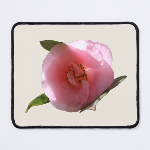 Item preview, Pink Camellia designed and sold by STHogan2.