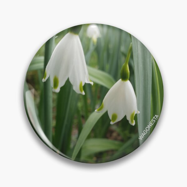 Item preview, Floral - Snowdrops -  by Wagonesta  designed and sold by Wagonesta.