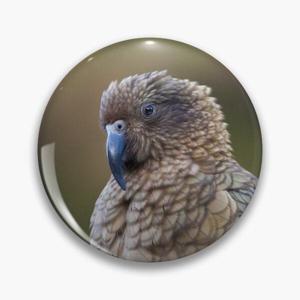 Item preview, Adorable Kea designed and sold by Erland Howden.