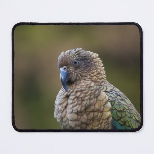 Item preview, Adorable Kea designed and sold by Erland Howden.