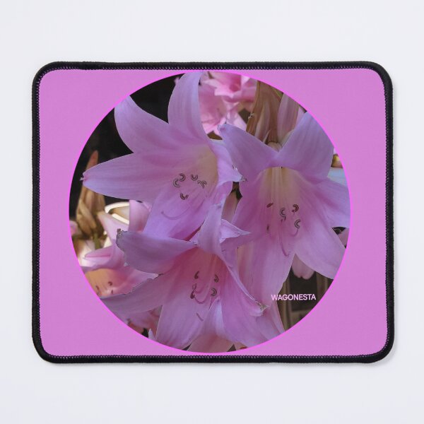Item preview, Floral - Surprise Lilies by Wagonesta designed and sold by Wagonesta.