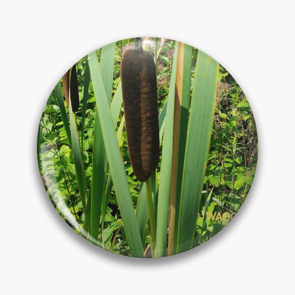 Item preview,  Floral - Cattails by  Wagonesta  designed and sold by Wagonesta.