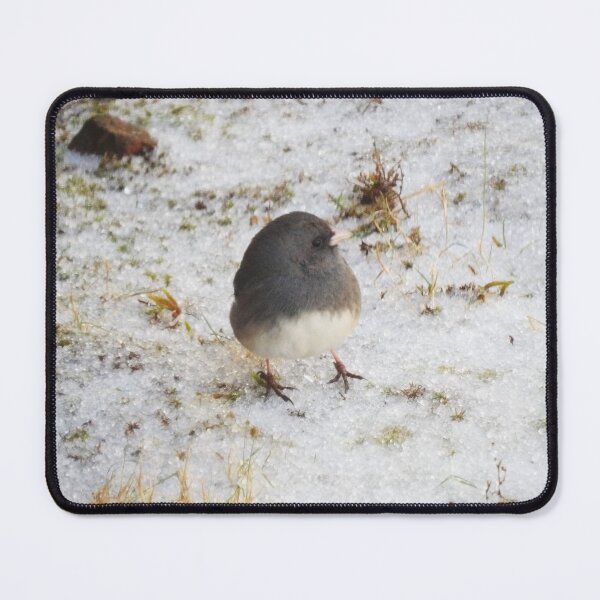 Item preview, Side Eye Junco designed and sold by gistinker.
