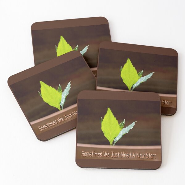 Item preview, Sometimes We Just Need A Fresh Start designed and sold by CarolM.