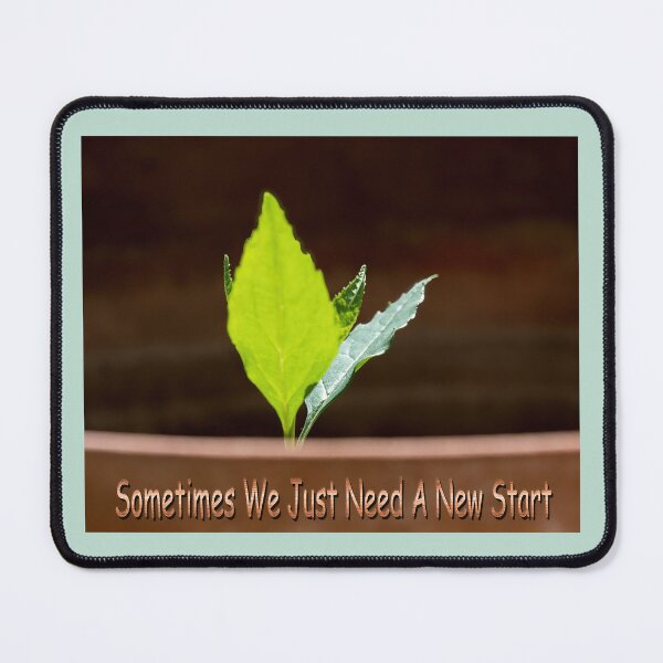 Item preview, Sometimes We Just Need A Fresh Start designed and sold by CarolM.