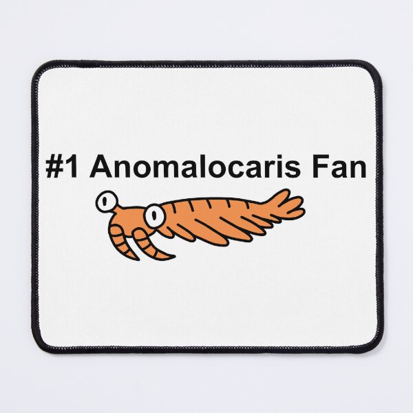 Item preview, #1 Anomalocaris Fan designed and sold by ThePaleoDude.
