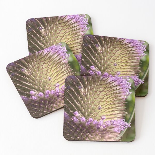Item preview, Espinilla designed and sold by Betsy Phillips.