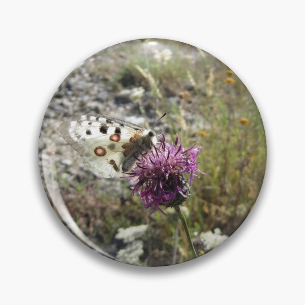 Item preview, Apollo Butterfly and Bee  designed and sold by SunsetFirefly.